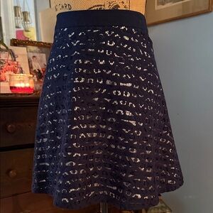 The Limited Navy Stripe Lace Overlay A-line Mini Skirt